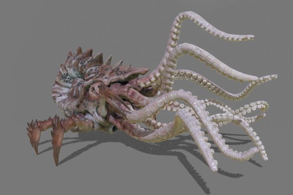 Kraken рабочая ссылка 2025