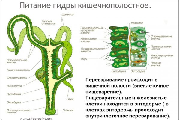 Kraken13 at сайт